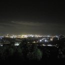Mount Coot-tha (마운트 쿠사) 이미지