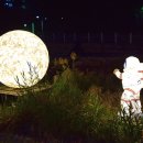 보라리농장 이미지