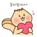 케이엠 스포츠 이미지