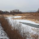 중선포천 이미지