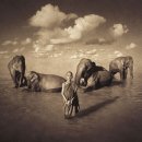 그레고리 콜버트 Gregory Colbert - Ashes and snow 이미지