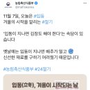 입동이랍시고 코타츠 그려넣은 정신나간 정부 트위터 이미지