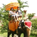 후스메디칼 | 악천후를 뚫고 귀경하다.. - 산의 제주여행후기