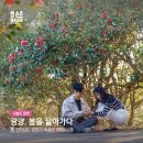 닮아가다 이미지