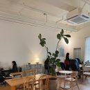 카페 인(cafe in) 이미지