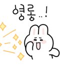 241오렌지 이미지