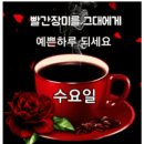 🌹수요일 아침 행복배달 '그대에게 드리는 약속' 이미지