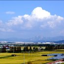 바람의노래 이미지