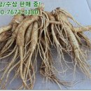금산인삼건강식품