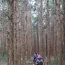 머체왓숲길영농조합법인 이미지