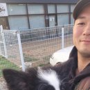 퍼스트 독 스쿨 이미지