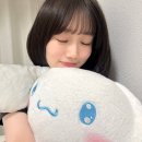 코코네 티스토리
