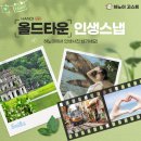 성요셉치매센타 | 하노이 한 달 살이 여행 필수 코스: 성요셉 성당과 항마 거리 즐기기