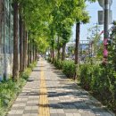 인천서흥초등학교 이미지