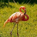 밸리1961 이미지