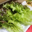 도야족발신곡