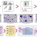 인공지능(AI)와 삶 이미지