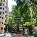 압구정-105 이미지