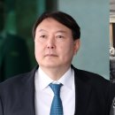 주식회사 데이비즈 이미지