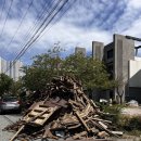 울진조경 이미지