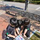 건무도장 이미지