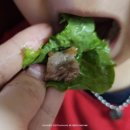 도윤축산 이미지