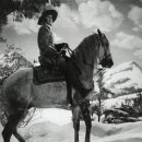 퀸여인숙 이미지