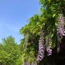 사나사(초입) 이미지