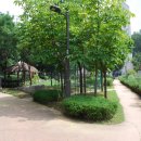 연의체육공원 이미지