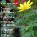 태가 이미지