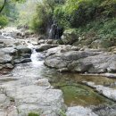 남산조경 이미지