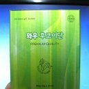 후코이단은 염증, 산화 스트레스 및 NLRP3 매개 파이롭토시스를 관리하여 위궤양 손상을 완화합니다. 이미지