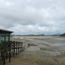 꾸지나무골해수욕장 이미지