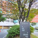 케이유채웨딩뷔페(K뷔페) | 양재 더케이호텔 서울 숙소, 주차, 뷔페, 조식 후기