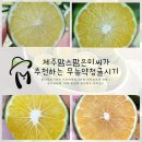칠전동길3 이미지