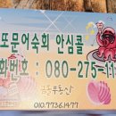 로또문어숙회 이미지