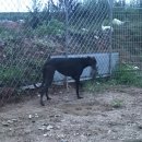 김희성 농장 이미지