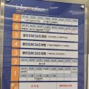 문의원 | 용인 공휴일 명절 일요일에 문 연 병원 용인이엠365의원 다녀온 후기