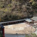 화인카 | [시안 자유여행] 중국 5대 명산 화산트래킹 겨울 투어 후기