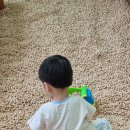 판교어린이도서관(마을) 이미지