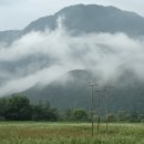 꽃피는 풍경 이미지