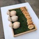 삼천목장 이미지