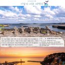 몸사랑건강마을 펫노트