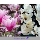 이로움메디컬 이미지