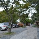 월드니스 이미지