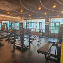 백천헬스 이미지