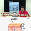 우리가 잘못 알고 있는 샤워 방법 (함익병 주의) 이미지