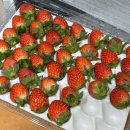 고향사랑기부제 답례품-함평 나비골 딸기 추천 후기🍓