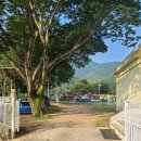 다옴농촌체험휴양마을 이미지