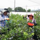 유가네농장 이미지